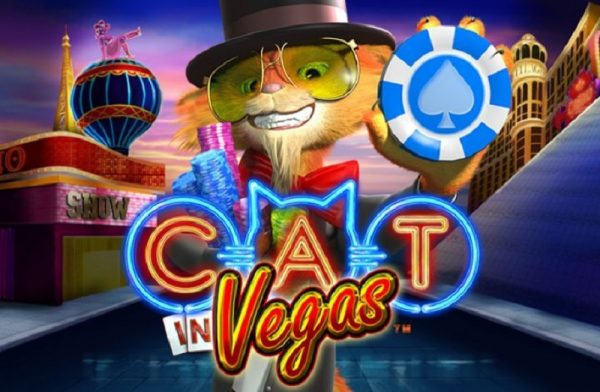 Game Cat In Vegas quay hu club trên keo 12BET chơi như thế nào dễ ăn?
